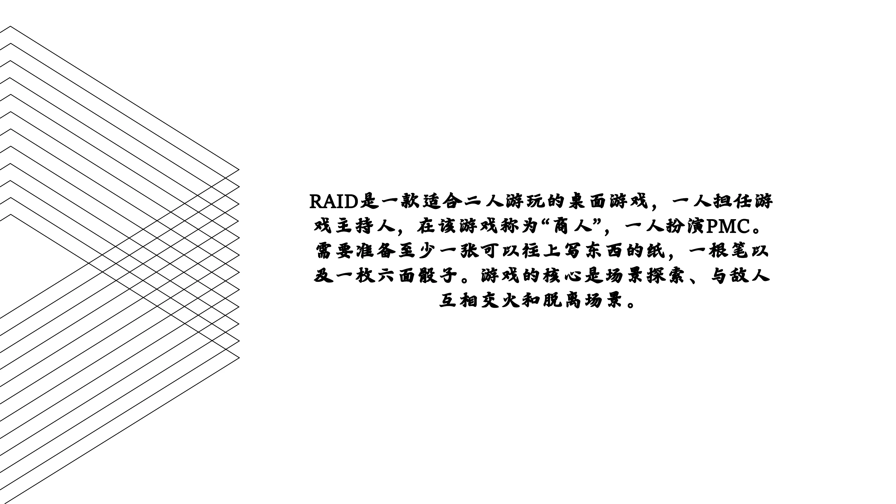 RAID第 2 页